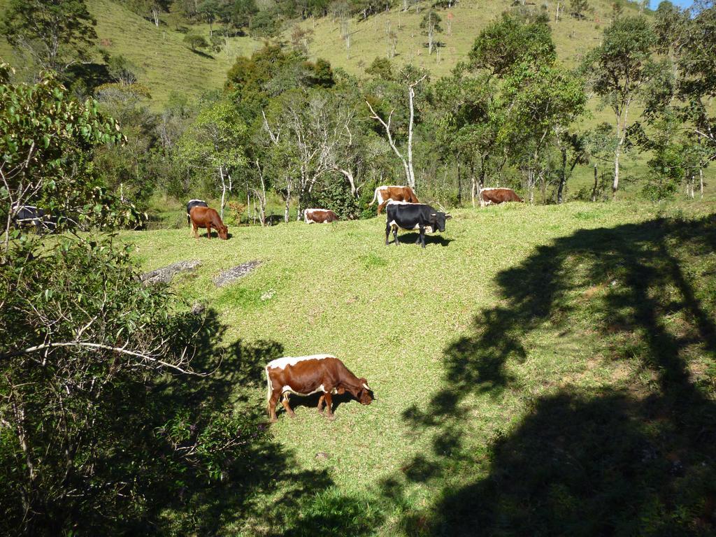 Apartamento Ferias Fazenda Usina 1 Bocaina de Minas Buitenkant foto