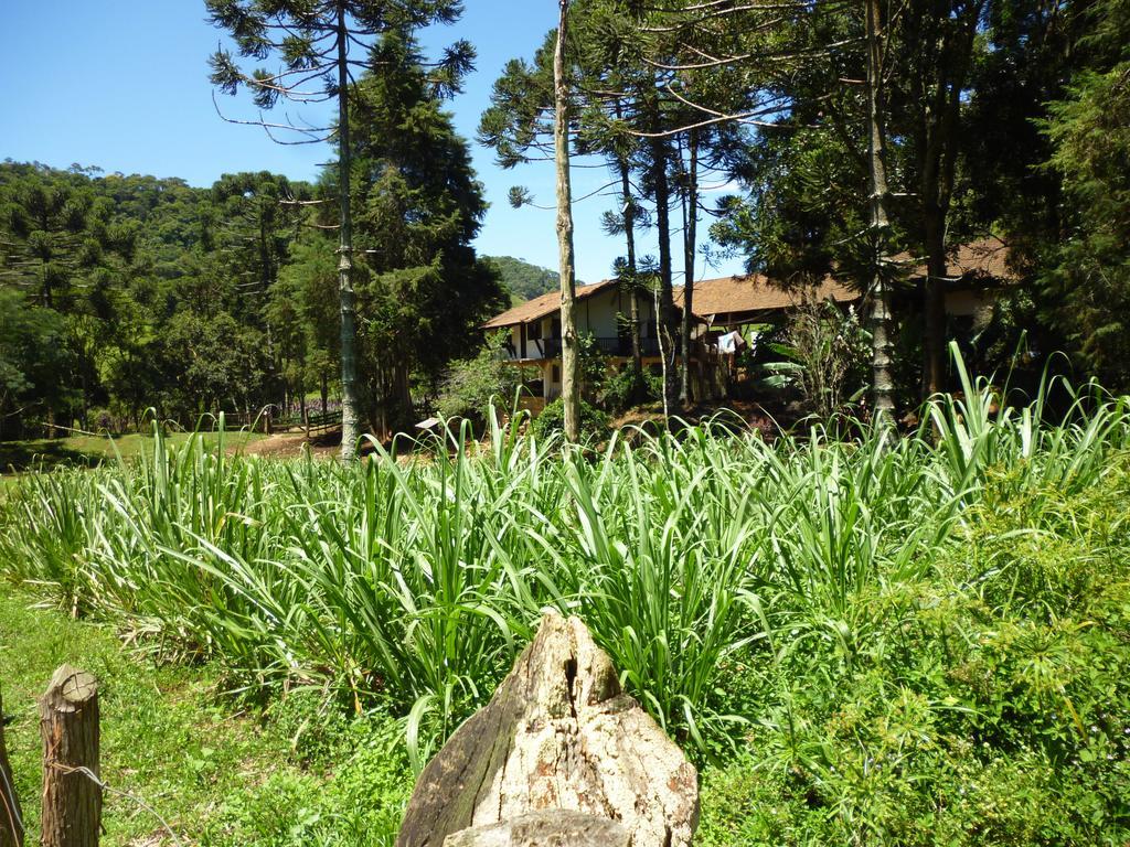 Apartamento Ferias Fazenda Usina 1 Bocaina de Minas Buitenkant foto