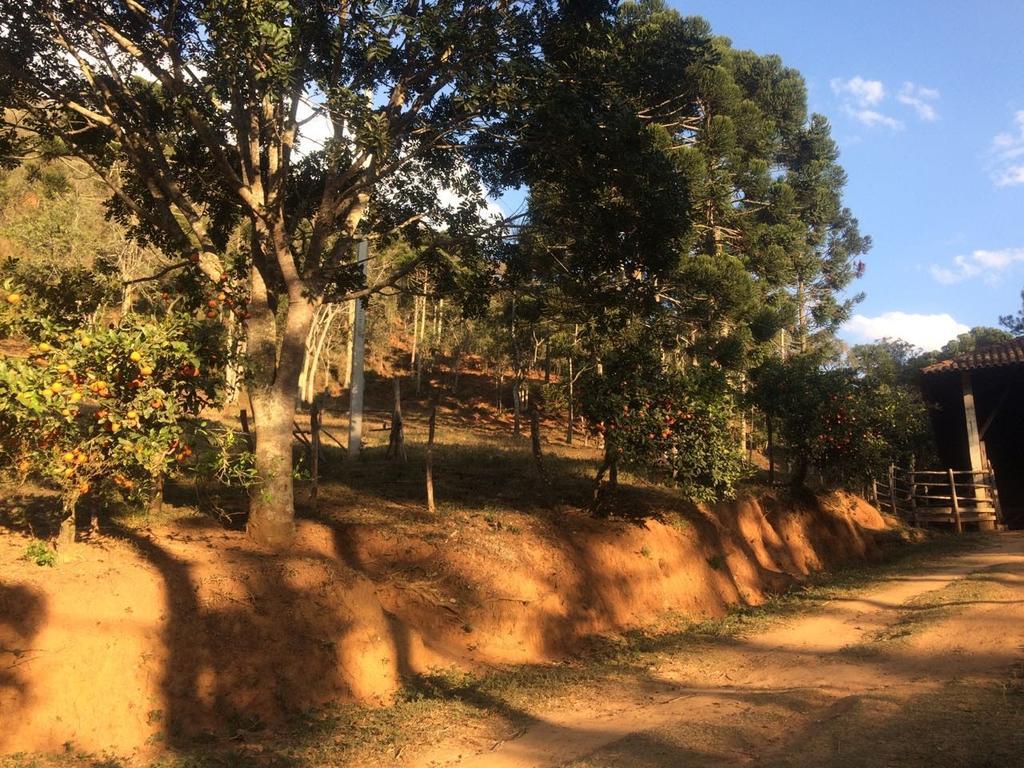 Apartamento Ferias Fazenda Usina 1 Bocaina de Minas Buitenkant foto
