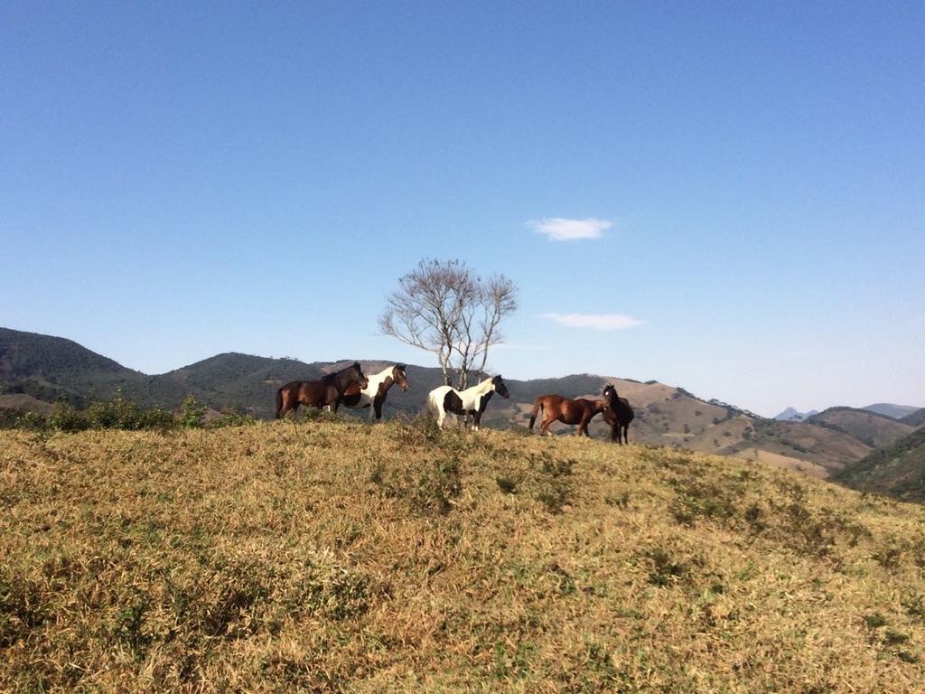 Apartamento Ferias Fazenda Usina 1 Bocaina de Minas Buitenkant foto