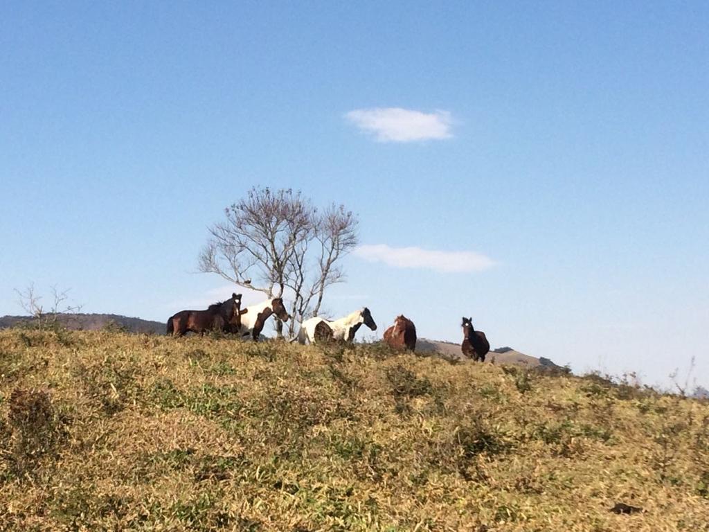 Apartamento Ferias Fazenda Usina 1 Bocaina de Minas Buitenkant foto