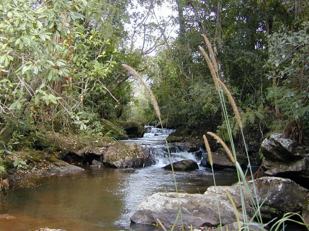 Apartamento Ferias Fazenda Usina 1 Bocaina de Minas Buitenkant foto