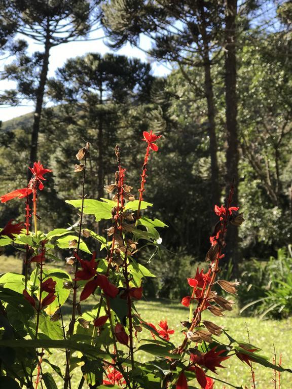 Apartamento Ferias Fazenda Usina 1 Bocaina de Minas Buitenkant foto