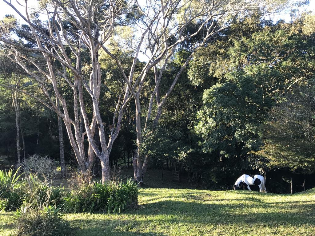 Apartamento Ferias Fazenda Usina 1 Bocaina de Minas Buitenkant foto